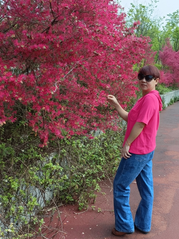 羊羊的第一张照片--珠海相亲服务中心