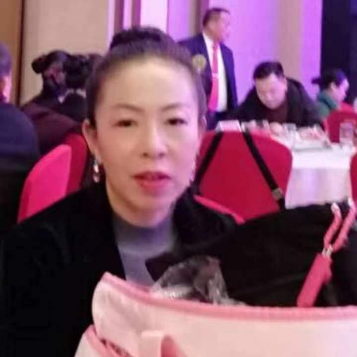中秋桂花玉兔的第四张照片--珠海相亲服务中心