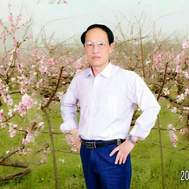 枫叶的第一张照片--珠海相亲服务中心